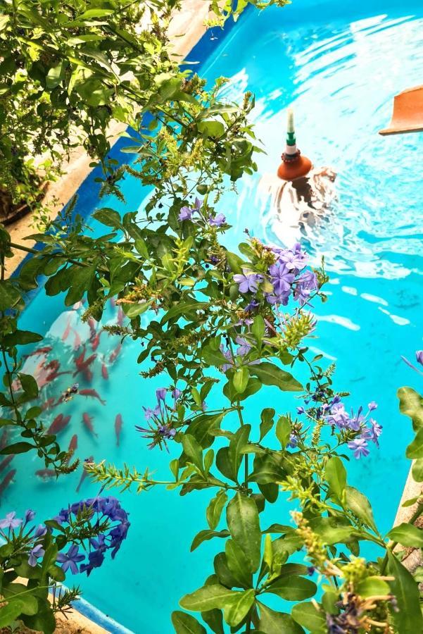 Hotel Casa Jazmin Orgiva Zewnętrze zdjęcie